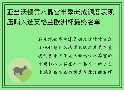 亚当沃顿凭水晶宫半季老成调度表现压哨入选英格兰欧洲杯最终名单